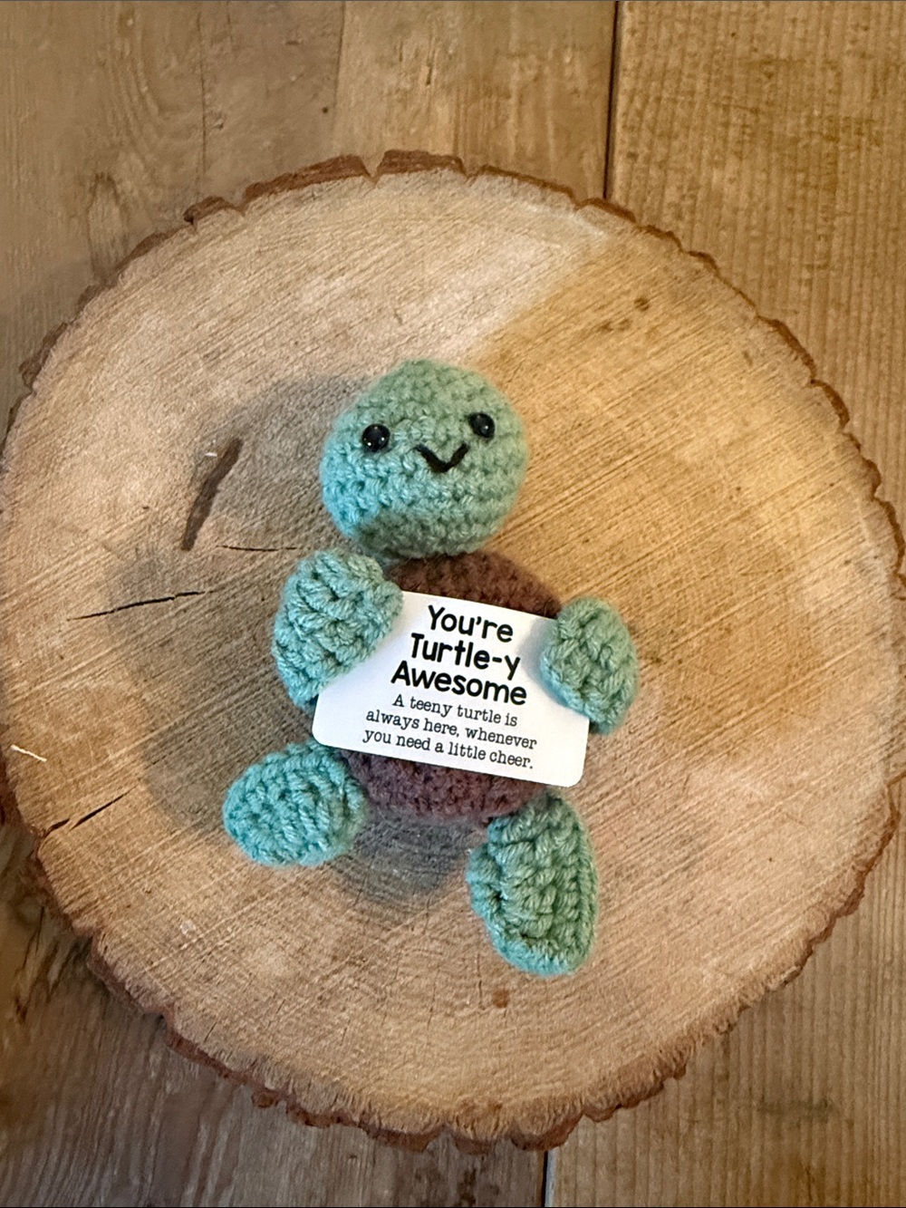Handmade Green Turtle Plush for Small Pets - Cute Pet Toy
